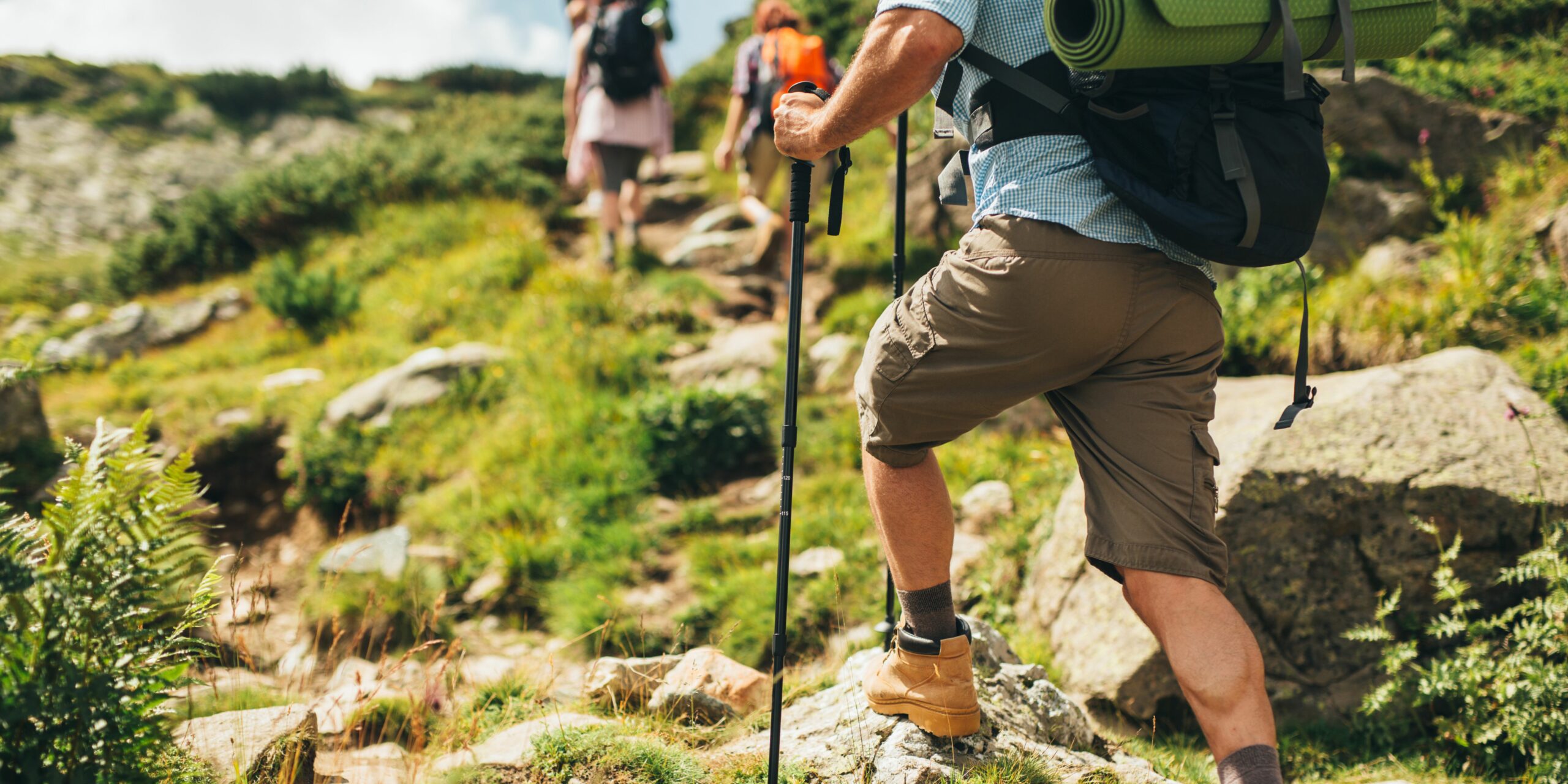 Top 10 des randonnées à faire en Alsace !